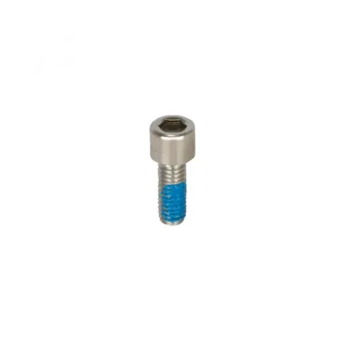 FSA Schraube für PRA-Einstellring M4 x 10 mm Silber - präzise Naben-Feineinstellung