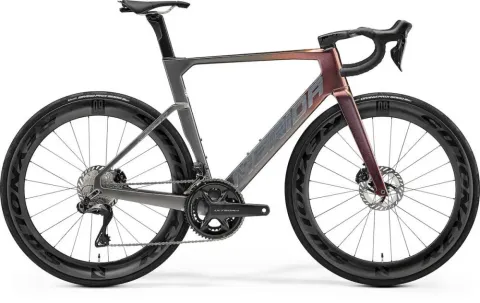 REACTO 8000 rainbow/gunmetal grey(silver), MERIDAnGröße: XL, Farbe: pink, Gewicht: 8,7 kg, VE: 1…