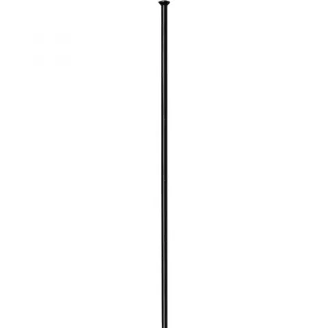 DT Swiss Speiche Competition 2.0 / 1.8 248 mm schwarz - leichte, belastbare Straightpull-Speiche
