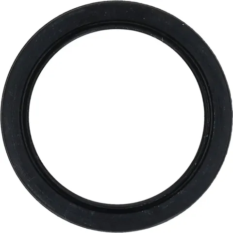 SHIMANO DICHTRING RE. SGS705 - Ersatz-Dichtungsring für Schaltwerk, EAN 4524667369257