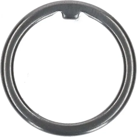 SHIMANO Schutzring SG-C3000-7C - 3000-7