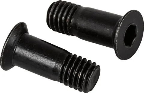 SHIMANO Schaltrollenschraube für RD-M430 2 Stück - Ersatzschrauben, ca. 5 g, Y5XG98030