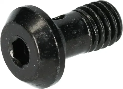 SHIMANO Bremsleitungsschraube BR-M8100 - für hydraulische Scheibenbremsen, ca. 5 g