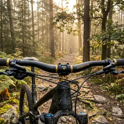 Ergotec, Lenker, Low Riser Bar 6+ Gold Edition, Durchmesser 31.8mm, Griffweite 780mm, Grifflänge…