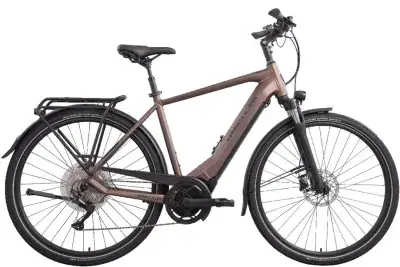 Hercules Pasero Sport I-10 Braun Modell Aktion