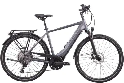 Hercules Pasero Pro I-12 Grau Modell Aktion