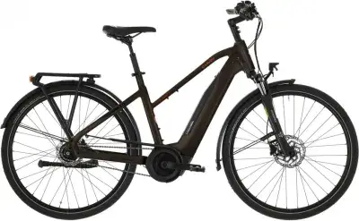 Carver Tour E.410 Braun Modell 2026
