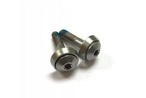 by.schulz Sattelklemmschrauben G.2 - M6 Torx T25 - Edelstahl, mit konkaven Unterlegscheiben,…