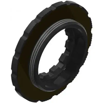DT Swiss Lockring Centerlock - DT SWISSnmit Innen- und AußenverzahnungnFarbe: schwarz Gewicht: 12 g…