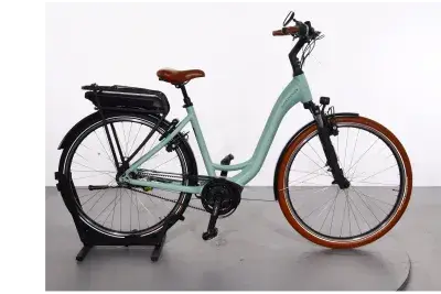 Riese & Müller Swing Vario | Upway, Gebrauchtes Ebike