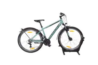 Bulls Wildtail Street | Upway, Gebrauchtes Ebike