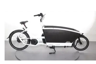 Urban Arrow Family | Upway, Gebrauchtes Ebike