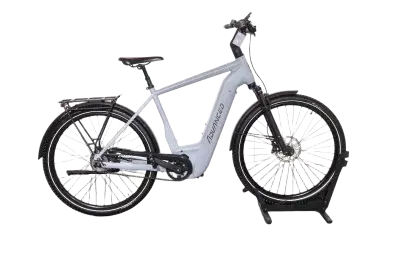 Advanced Trekking Pro | Upway, Gebrauchtes Ebike