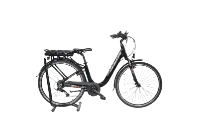 Nakamura E-Powerfit LTD | Upway, Gebrauchtes Ebike