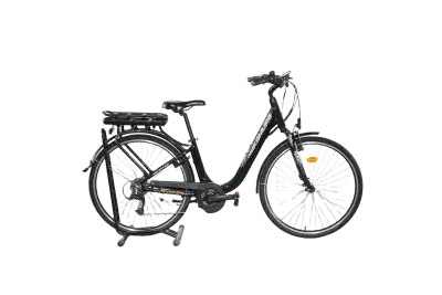 Nakamura E-Powerfit LTD | Upway, Gebrauchtes Ebike