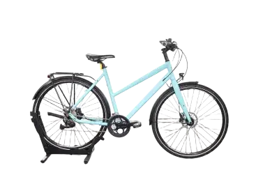 Maxcycles Traffix 2 | Upway, Gebrauchtes Ebike