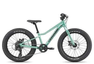 Cannondale Kids Trail Plus 20 2026 | cactus green | unisize | Hardtail-Mountainbikes
