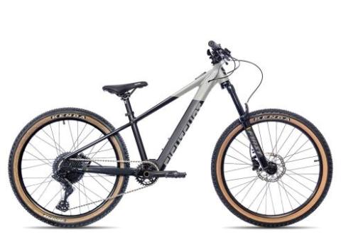 Eightshot LOAMER 24 | black/grey | 32 cm | E-Hardtail-Mountainbikes
