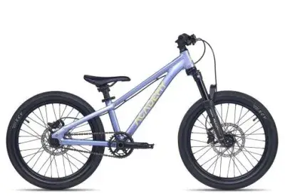 Academy PUMP 4 2027 | frost | 25 cm | Hardtail-Mountainbikes