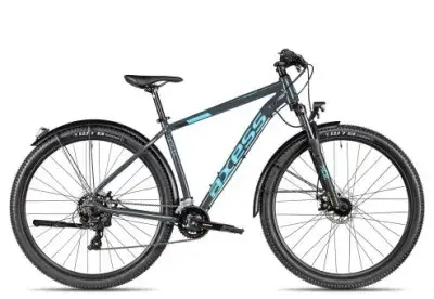 Axess SANDEE ATB | grey | 17 Zoll | All-Terrain-Bikes