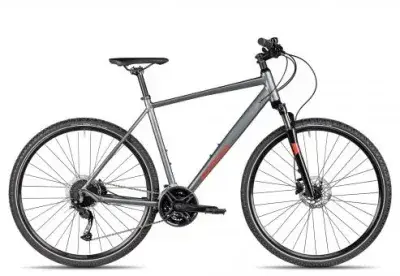 Axess VERIS CROSS | grey | 58 cm | Crossräder