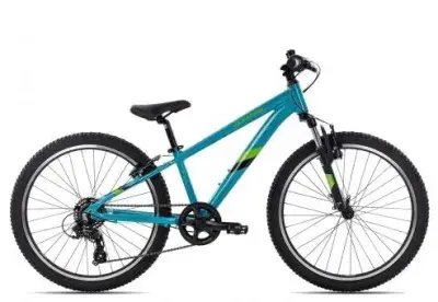 Axess STIPE 24 | blue/green/black | unisize | Fahrräder
