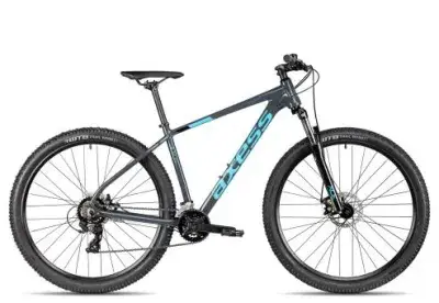 Axess SANDEE | grey | 17 Zoll | Hardtail-Mountainbikes