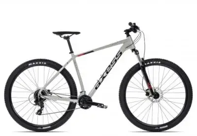 Axess BRASH | grey | 19 Zoll | Hardtail-Mountainbikes