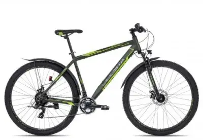 Ciclista Adventure 29 Disc | bizzgreen-matt black apple | 48 cm | Fahrräder