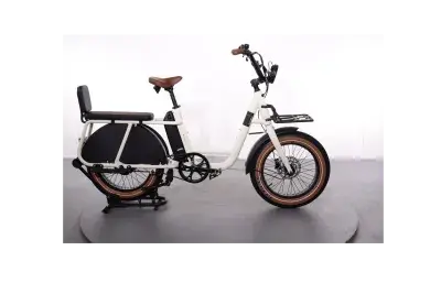 Brinckers Buddy | Upway, Gebrauchtes Ebike
