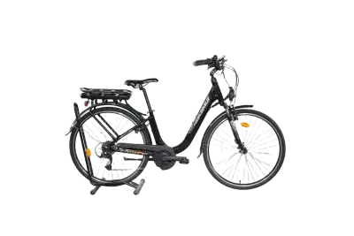 Nakamura E-Powerfit LTD | Upway, Gebrauchtes Ebike