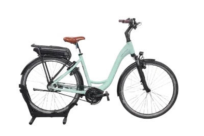 Riese & Müller Swing silent Frontkorb | Upway, Gebrauchtes Ebike