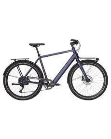 E-Trekkingrad BRISTOL DMT, Diamantrahmen, Coboc Electric Drive 250 W
