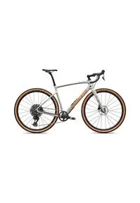 Gravelbike DIVERGE COMP aus Carbon