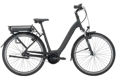 Pegasus Solero E7R Plus 500 Wh Damen schwarz 2025