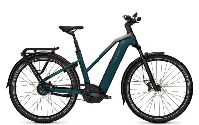 Kalkhoff Entice 5+ Advance Belt 800 Wh Damen Trapez grün 202