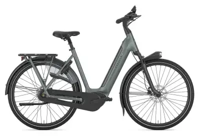 Gazelle Arroyo C8+ Elite 600 Wh Damen grün 2026
