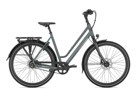 Gazelle Chamonix S8 Damen grün 2027