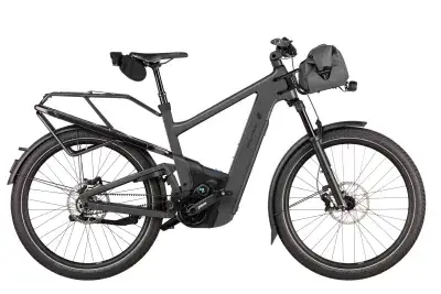 Riese & Müller Delite5 Pinion 800 Wh Herren grau 2026