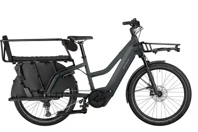 Riese & Müller Multicharger3 Family 625 Wh Damen Mixte grau