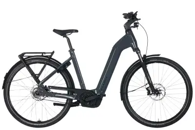Flyer G1 Gotour 5.43 CX 750 Wh Damen grau 2026