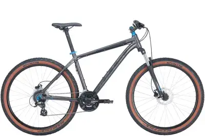 Bulls Wildtail 2 29'' silber 2025