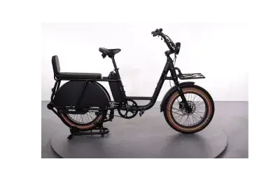 Brinckers Buddy | Upway, Gebrauchtes Ebike