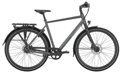 Gazelle Chamonix S11 Grau Modell 2026