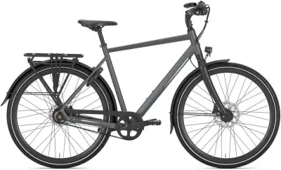 Gazelle Chamonix S11 Grau Modell 2026