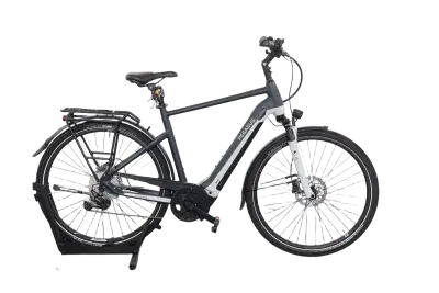 Pegasus Premio EVO 10 Lite | Upway, Gebrauchtes Ebike