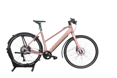 Riese & Müller UBN Seven | Upway, Gebrauchtes Ebike