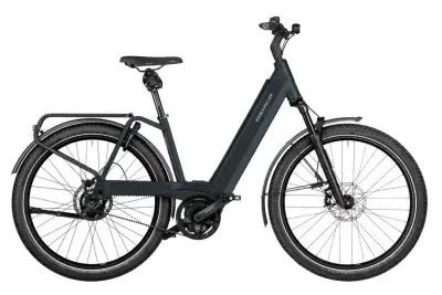 Riese und Müller Nevo4 GT rohloff Grau Modell 2026