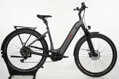 ADVANCED EBIKE Trekking Pro Wave