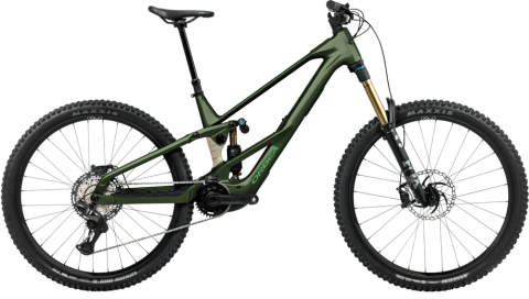 Orbea Wild LT H20 Grün Modell 2027